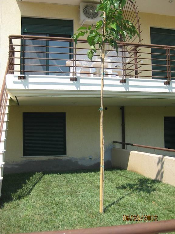 Elena Apartments Asprovalta Bagian luar foto